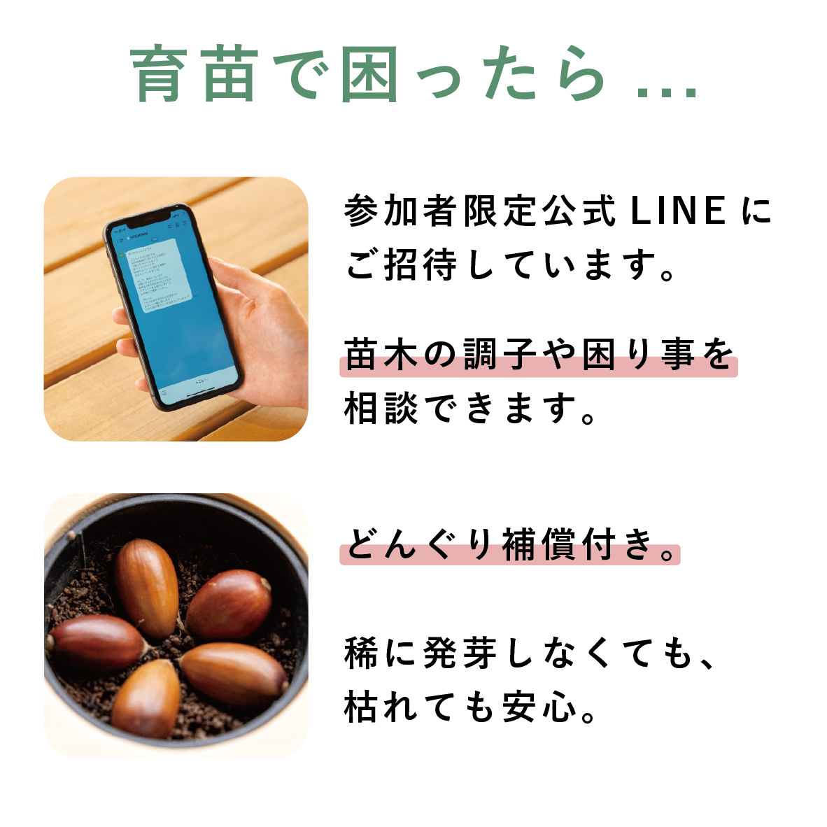 リスタートセット 3